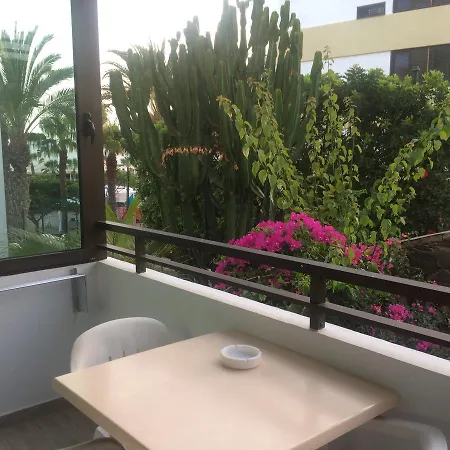 Apartamento La Siesta San Agustín